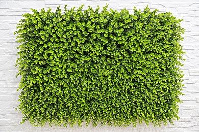 3DM速报：PS5国行售价反涨400块，Steam新版App账号“地区”绑IP？